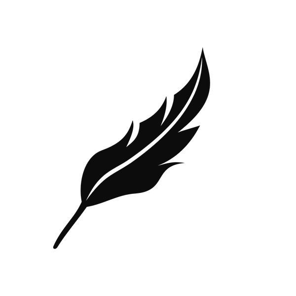 Maison Des Garçon logo