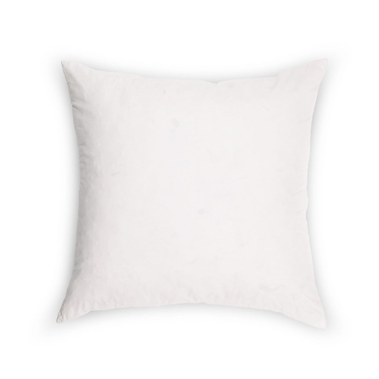 20x20 Goose Down Pillow Insert (Set of 2) - Maison Des Garçon