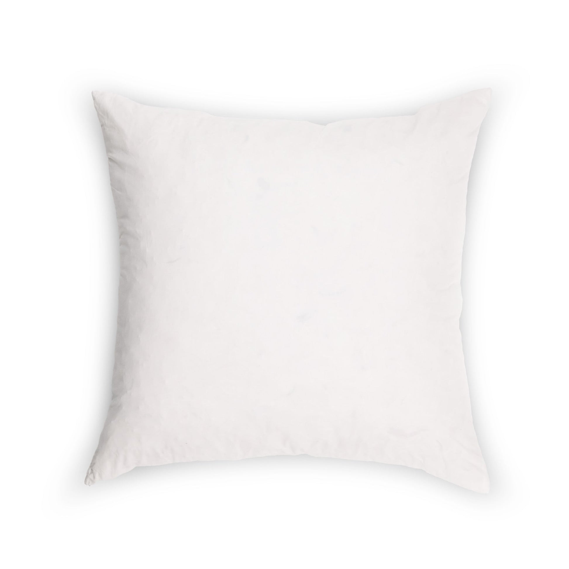 20x20 Goose Down Pillow Insert (Set of 2) - Maison Des Garçon