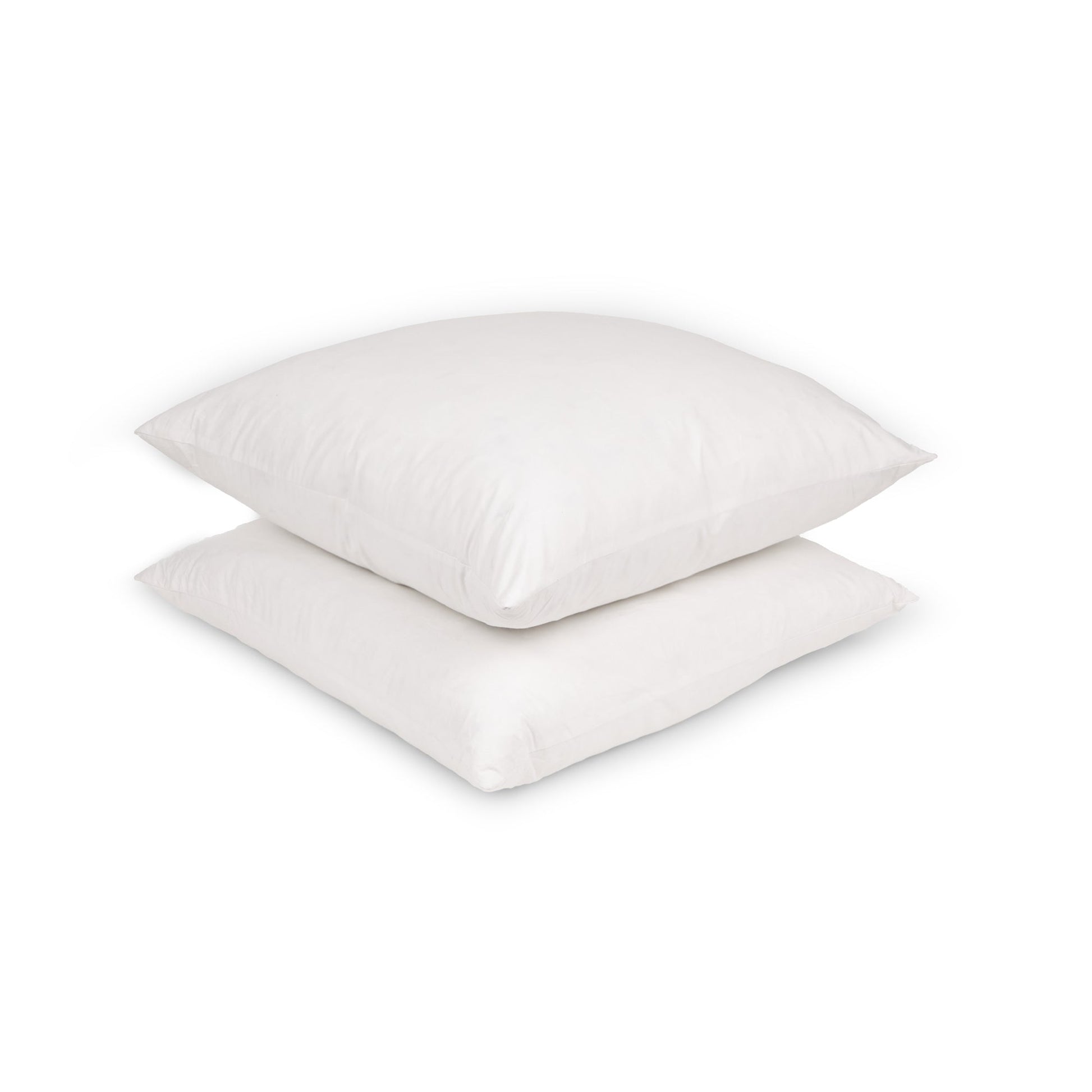 20x20 Goose Down Pillow Insert (Set of 2) - Maison Des Garçon
