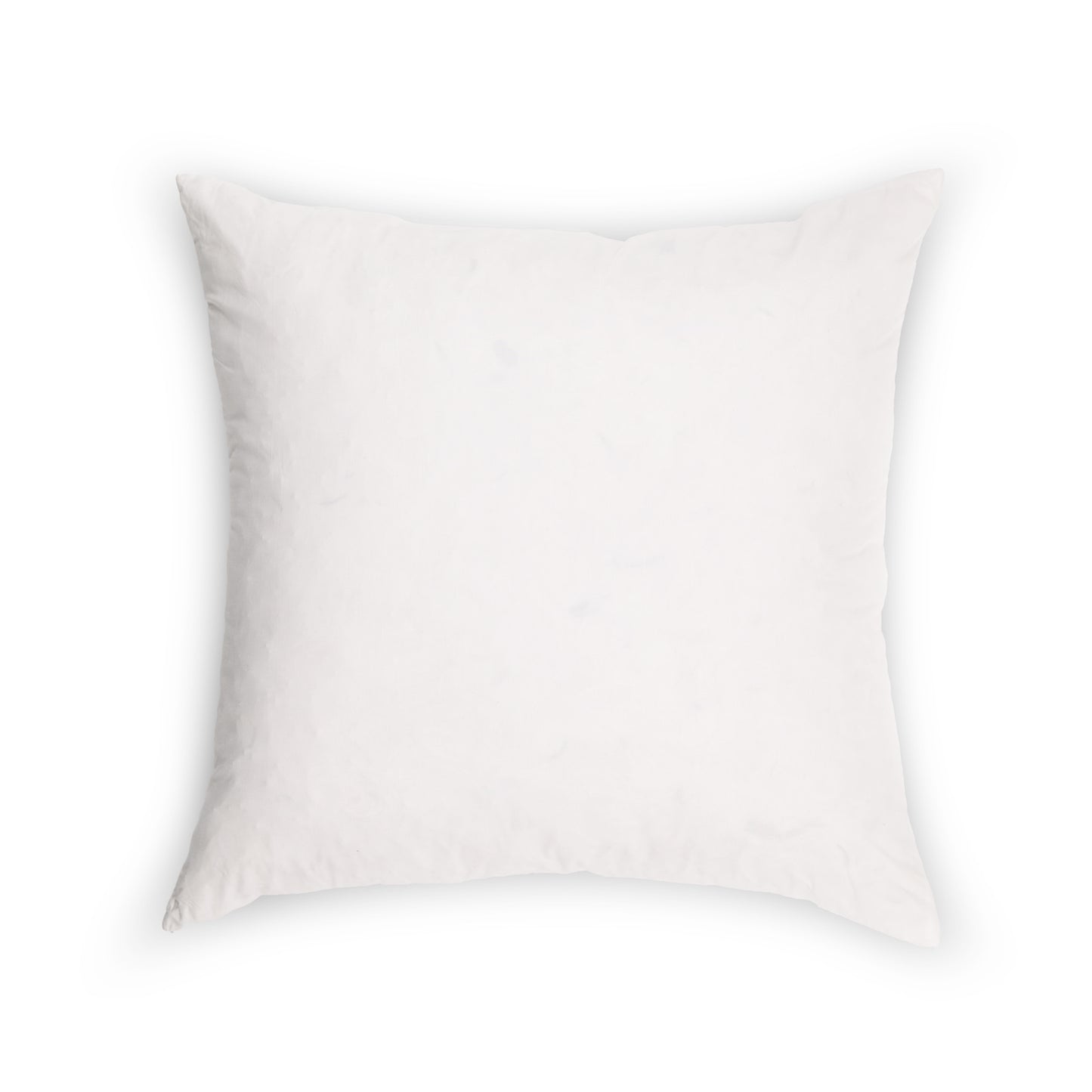 18x18 Goose Down Throw Pillow Inserts (Set of 2)